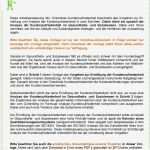 Arbeitsanweisung Vorlage Erstaunlich Beste Arbeitsanweisung Vorlage Ideen Entry Level Resume