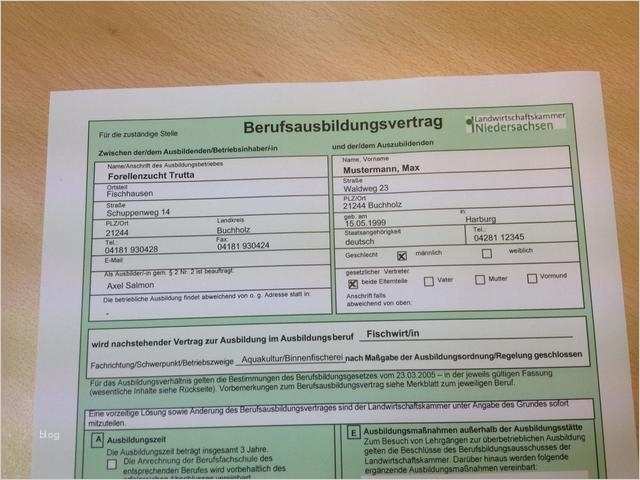 Arbeitsvertrag Vorlage Handwerkskammer Einzigartig Ziemlich Ausbildungsvertrag Vertrag Fotos Bilder Für Das