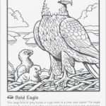 Arbeitszeugnis Anlagenmechaniker Shk Vorlage Inspiration [notfall Krankenschwester Lebenslauf] 38 Images