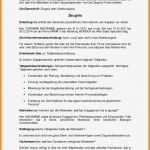 Arbeitszeugnis Selber Schreiben Vorlage Großartig 14 Qualifiziertes Arbeitszeugnis Muster Kostenlos Sehr
