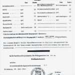 Arbeitszeugnis Vorlage Zum Ankreuzen Erstaunlich Wunderbar Zeugnisvorlage Bilder Entry Level Resume