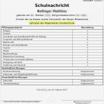 Arbeitszeugnis Vorlage Zum Ankreuzen Luxus Wunderbar Zeugnisvorlage Bilder Entry Level Resume