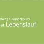 Auflösungsvertrag öffentlicher Dienst Vorlage Großartig Bewerbung Lebenslauf Gliederung Muster Beispiele
