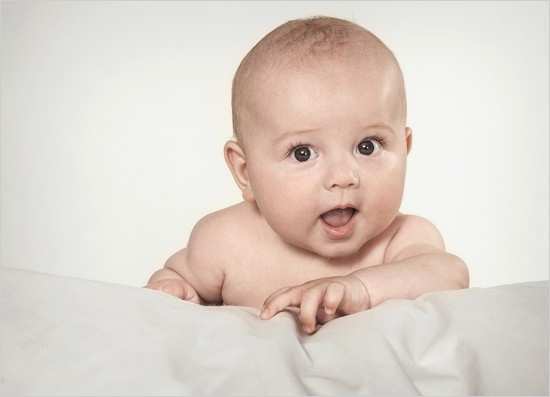 Aufwandsentschädigung Vorlage Beste Apfelbaum Spender Aus Frankfurt Am Main