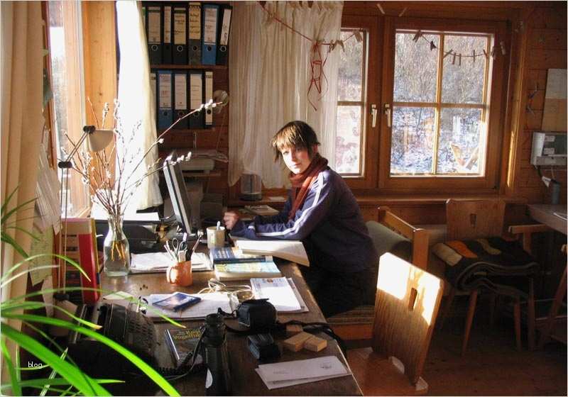 Aufwandsentschädigung Vorlage Süß Praktikum – Der Mellumrat E V