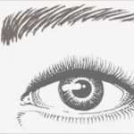 Augenbrauen Vorlage Inspiration Schminktipps Augenbrauen