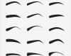 Augenbrauen Vorlage Inspiration Sistema De Cejas Femeninas En Diversos formas Y Tipos