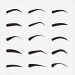 Augenbrauen Vorlage Inspiration Sistema De Cejas Femeninas En Diversos formas Y Tipos