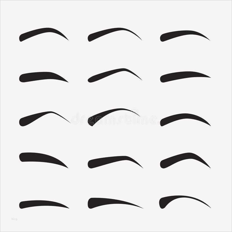 Augenbrauen Vorlage Inspiration Sistema De Cejas Femeninas En Diversos formas Y Tipos