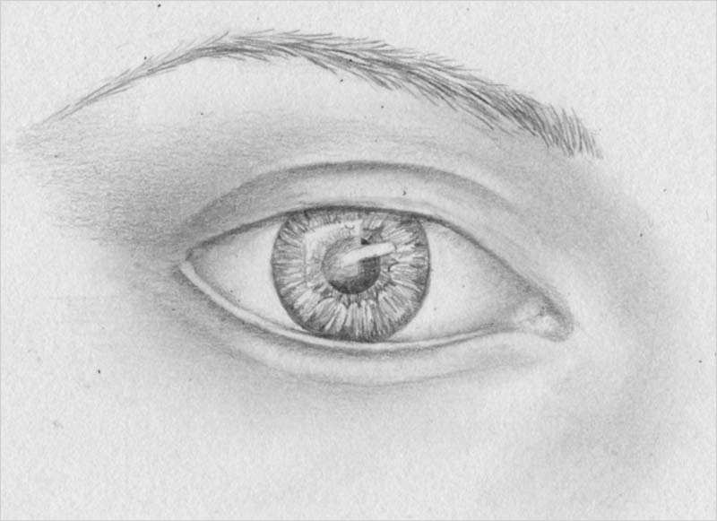 Augenbrauen Vorlage Schön Strahlende Augen Pupille Iris Zeichnen Lernen Zeichenkurs