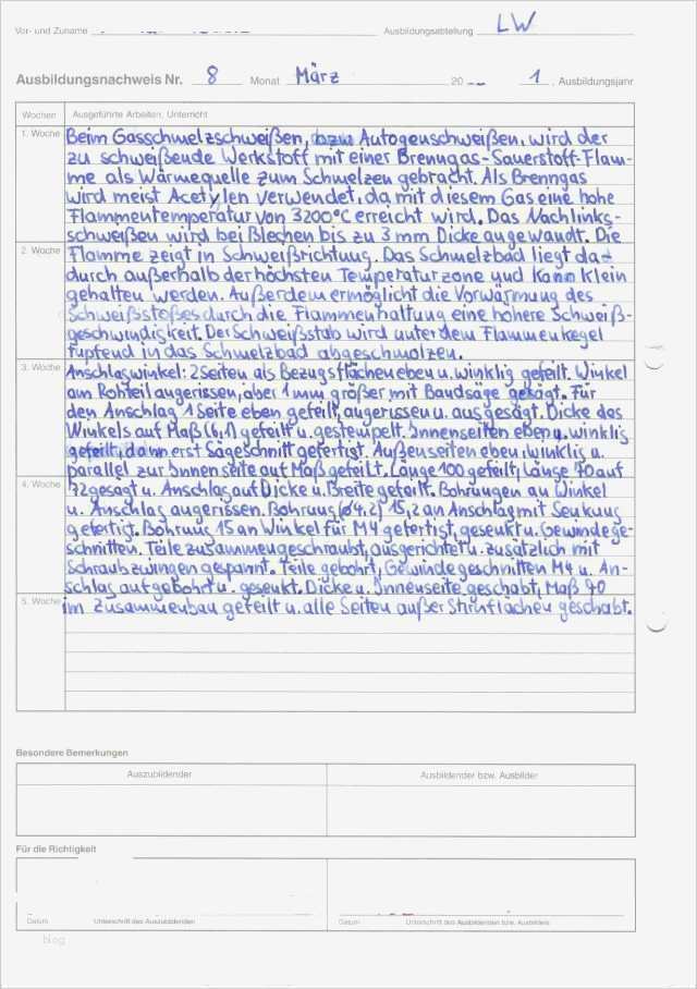 Ausbildung Berichtsheft Vorlage Wunderbar Erfreut Monatsbericht Vorlagen Zeitgenössisch Bilder Für