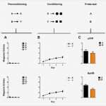 Ausbildungsbericht Vorlage Erstaunlich Fantastisch Firmenbrief Probe Ideen Bilder Für Das