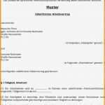 Ausbildungsplan Vorlage Erstaunlich Betrieblicher Ausbildungsplan Muster Schulischer