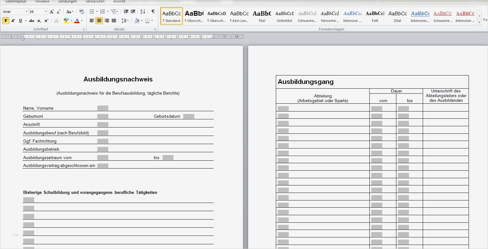 Ausbildungsplan Vorlage Gut Ausbildungsnachweis Ausbildungsrahmenplan Zum Download
