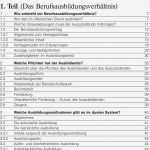 Ausbildungsvertrag Vorlage Einzigartig Groß Ausbildungsvertrag Vorlage Bilder fortsetzung