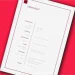 Ausformulierter Lebenslauf Vorlage Inspiration Ausformulierter Lebenslauf Lebenslauf Beispiel