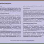 Ausformulierter Lebenslauf Vorlage Neu 6 Ausführlicher Lebenslauf Muster