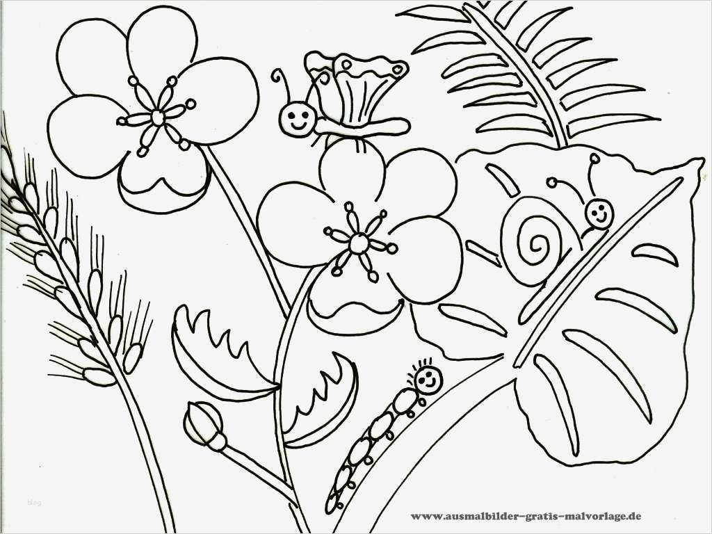 Ausmalbilder Vorlagen Einzigartig Malvorlagen