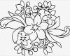 Ausmalbilder Vorlagen Erstaunlich Ausmalbilder Blumen Vorlagen Pinterest