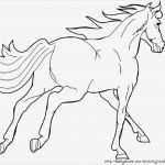 Ausmalbilder Vorlagen Hübsch Ausmalbilder Pferde Mit Fohlen