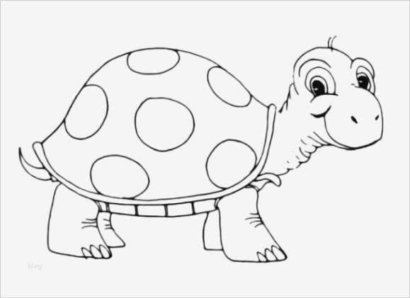 Ausmalbilder Vorlagen Inspiration Vorlagen Zum Ausmalen Malvorlagen Schildkr Te Ausmalbilder