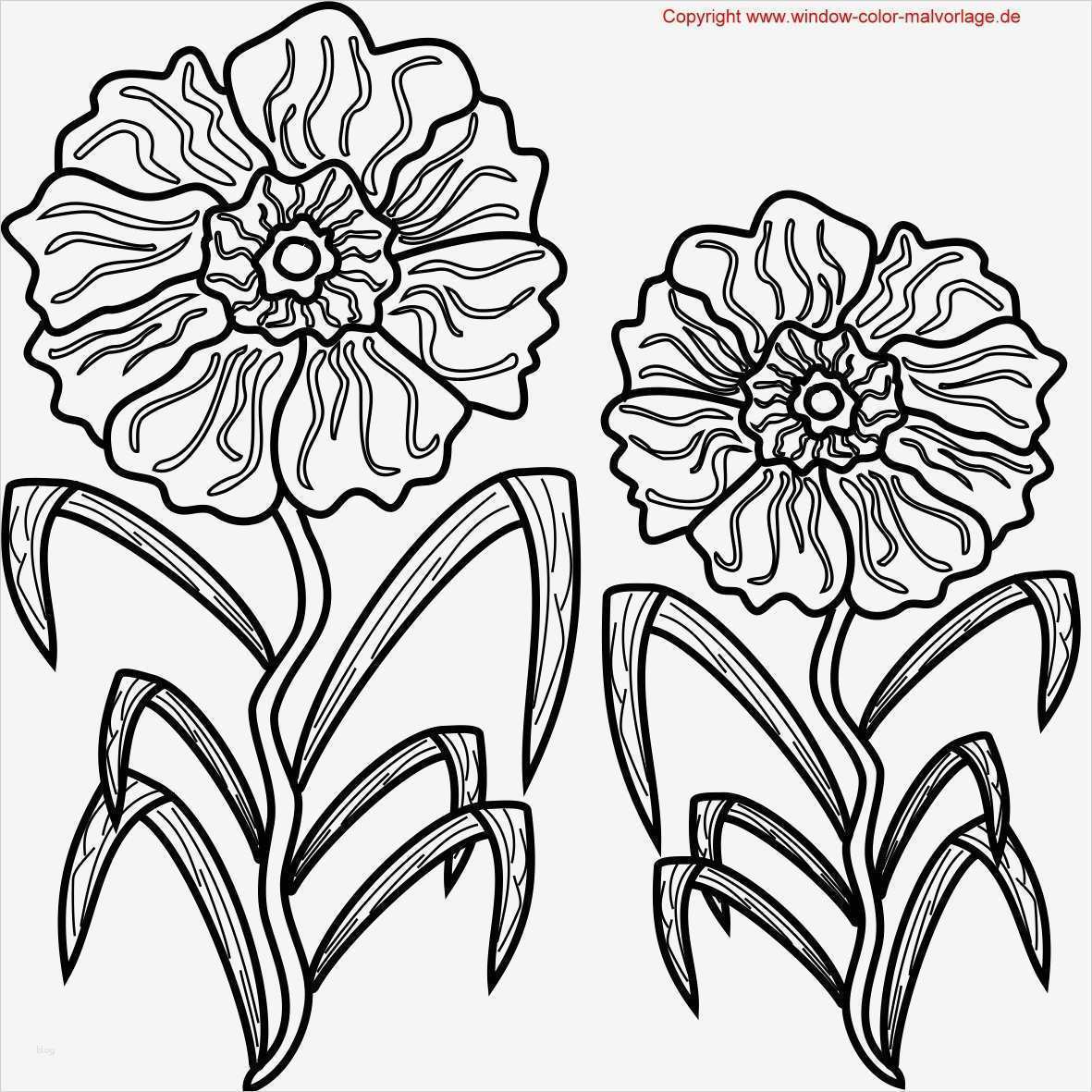Ausmalbilder Vorlagen Süß Blumen Ausmalbilder
