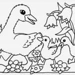 Ausweis Vorlagen Zum Drucken Kostenlos Angenehm Malvorlagen Fur Kinder Ausmalbilder Fruhling Kostenlos