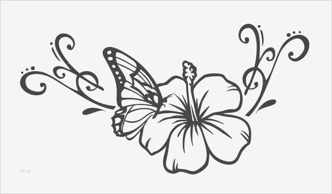 Autoaufkleber Vorlagen Angenehm Nanopics Bilder Vorlagen Rechnung Muster