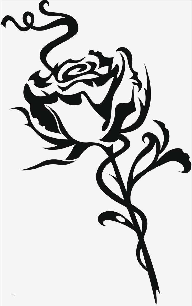 Autoaufkleber Vorlagen Beste Rosenranke Tattoo Bedeutung Ideen Und Vorlagen