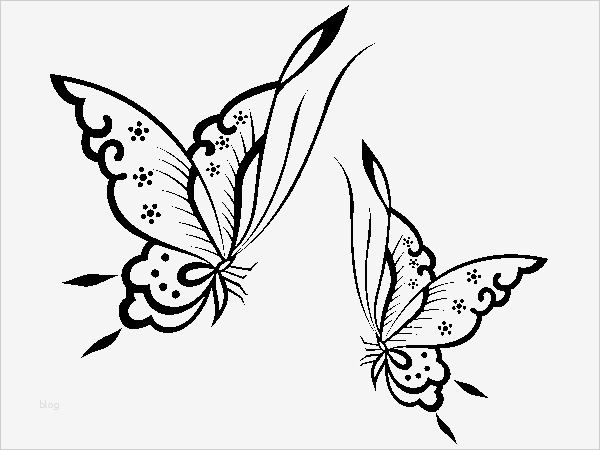 Autoaufkleber Vorlagen Hübsch Wandtattoo Schmetterlingsduett Bildmotive