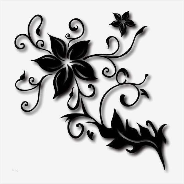 Autoaufkleber Vorlagen Süß Blumen In Nanopics Blumen 020