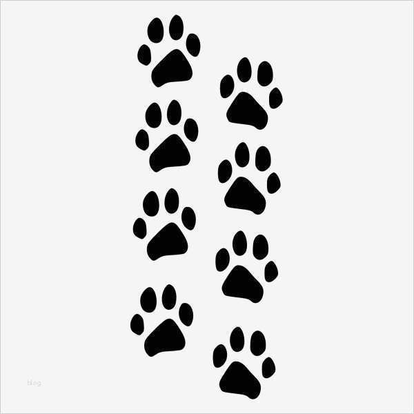 Autoaufkleber Vorlagen Wunderbar Katzenpfoten Im Set Hot and Cool Autoaufkleber