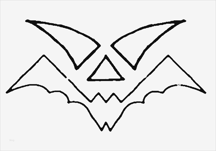 NanoPics Bilder vorlage