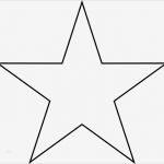 Ay Yildiz Kündigung Vorlage Erstaunlich Star