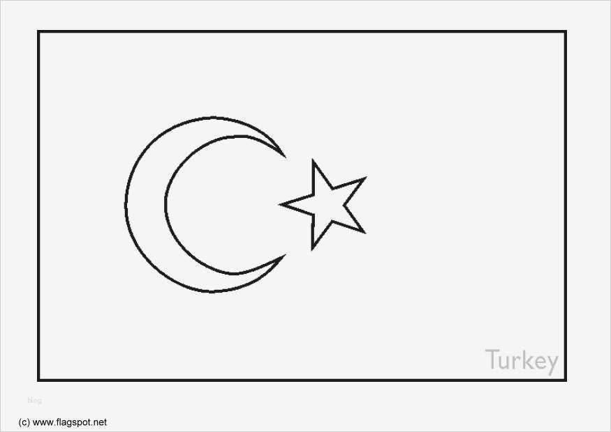 Ay Yildiz Kündigung Vorlage Süß Schede Ed attività Didattiche Del Maestro Fabio Per La