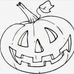 Babybauch Bemalen Vorlagen Zum Ausdrucken Angenehm Die Besten 25 Ausmalbilder Herbst Ideen Auf Pinterest