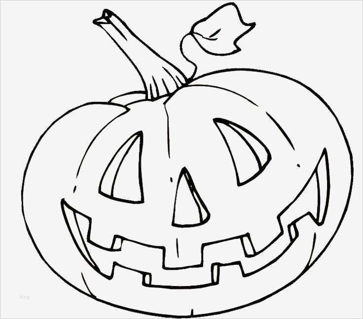 Babybauch Bemalen Vorlagen Zum Ausdrucken Angenehm Die Besten 25 Ausmalbilder Herbst Ideen Auf Pinterest