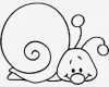 Babybauch Bemalen Vorlagen Zum Ausdrucken Angenehm Vorlagen Zum Ausmalen Malvorlagen Schnecke Ausmalbilder 1