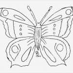 Babybauch Bemalen Vorlagen Zum Ausdrucken Elegant Vorlagen