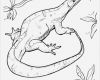 Babybauch Bemalen Vorlagen Zum Ausdrucken Fabelhaft Vorlagen Zum Ausmalen Malvorlagen Echse Ausmalbilder 1