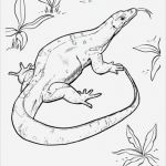Babybauch Bemalen Vorlagen Zum Ausdrucken Fabelhaft Vorlagen Zum Ausmalen Malvorlagen Echse Ausmalbilder 1