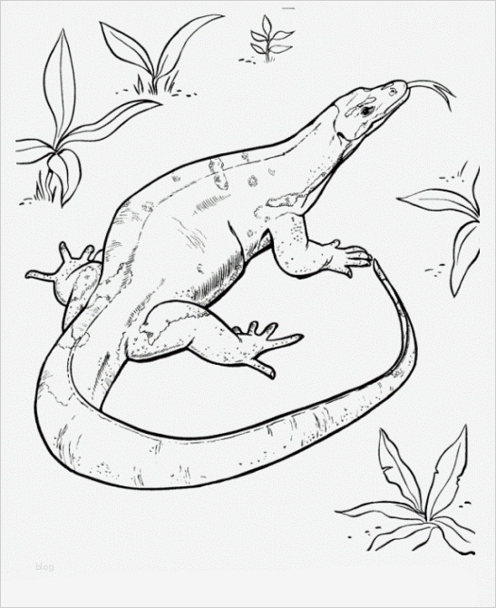 Babybauch Bemalen Vorlagen Zum Ausdrucken Fabelhaft