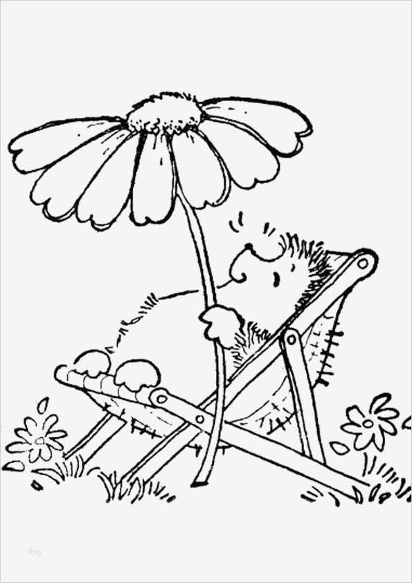 Babybauch Bemalen Vorlagen Zum Ausdrucken Schön Ausmalbilder Igel 13