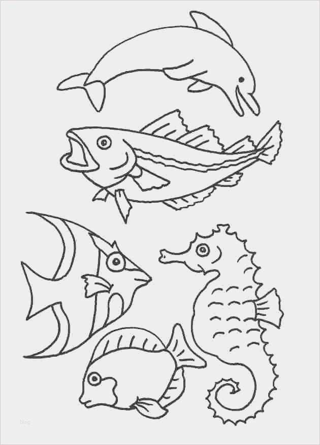 Badezimmer Vorlagen Angenehm Window Color Vorlagen Badezimmer – Zimnibotyfo