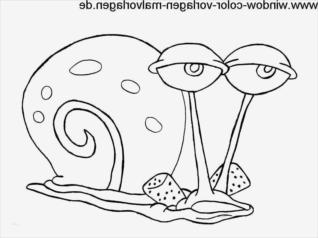 Badezimmer Vorlagen Erstaunlich 99 Window Color Blumen Ideen