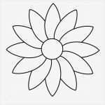 Badezimmer Vorlagen Genial 99 Window Color Blumen Ideen