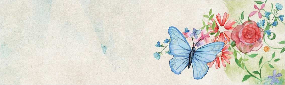 Banner Vorlage Wunderbar Banner Vorlage Kostenlose Bilder Auf Pixabay