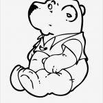 Bär Vorlage Süß Teddybär Malvorlage Kostenlos