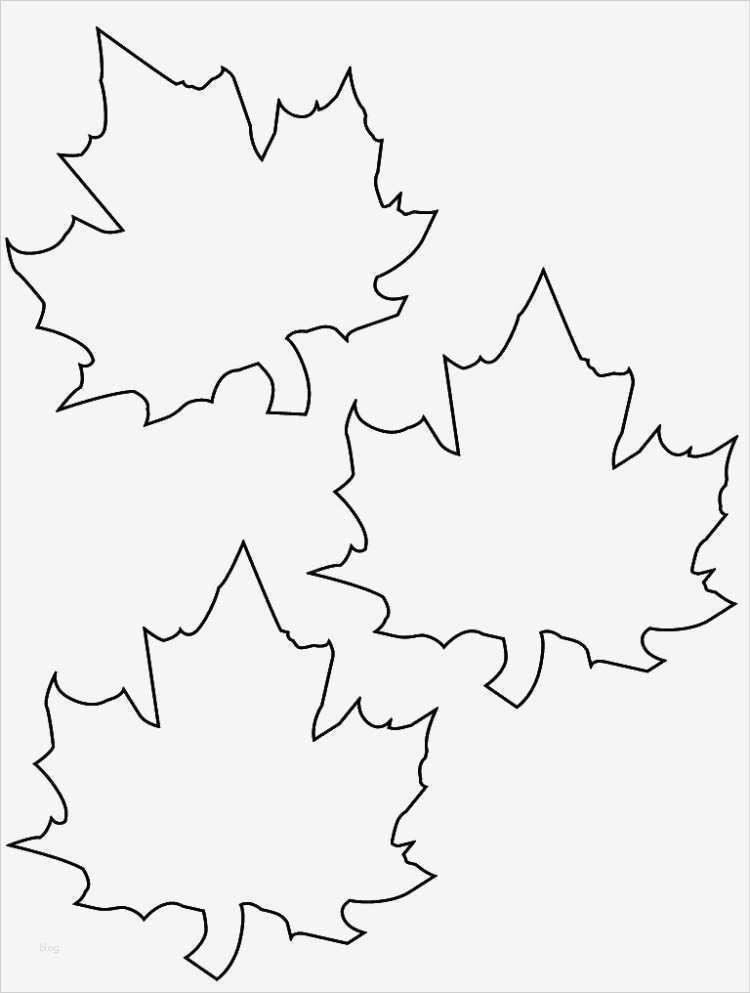 Basteln Mit Transparentpapier Vorlagen Best Of Fensterbilder Für Den Herbst Basteln 25 Ideen Und Vorlagen