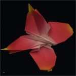 Basteln Mit Wäscheklammern Vorlagen Inspiration Schmetterling Bastelvorlagen